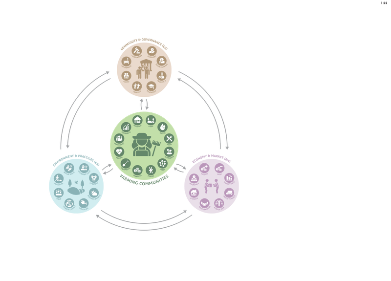 IKEA sustainability strategy co-creation