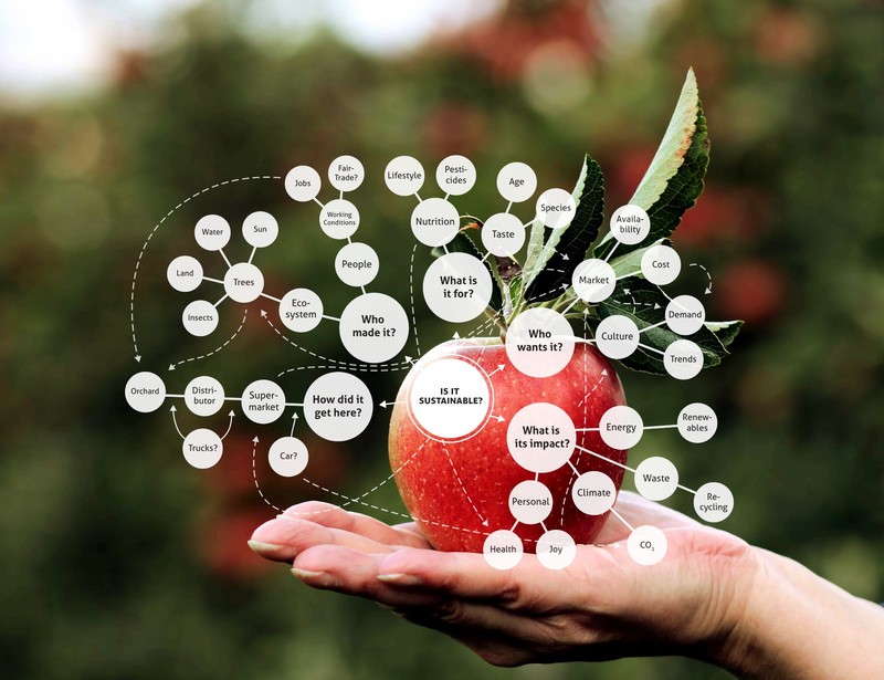 Apple Diagram - Systems Thinking Food Sustainability