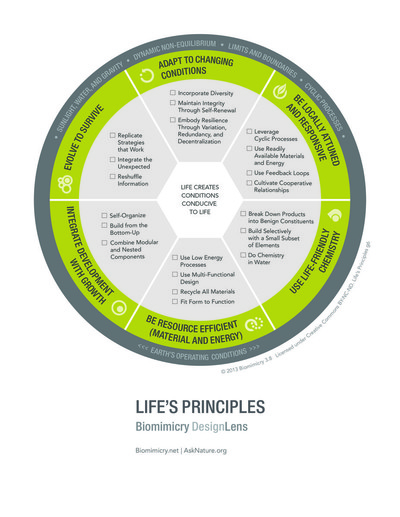 Biomimicry DesignLens Life's Principles