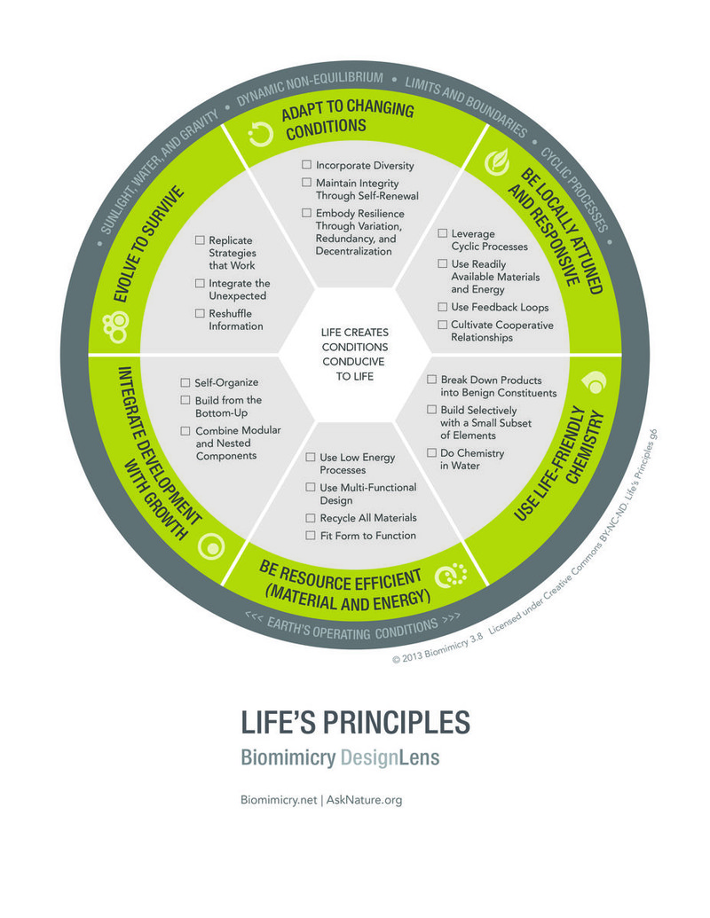 Biomimicry DesignLens Life's Principles