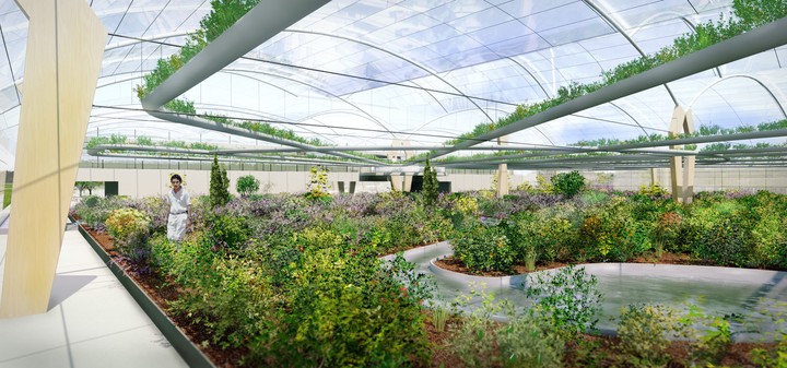 HPPS Inside polydome