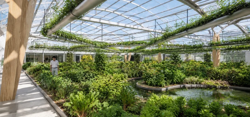 Project_Polydome_HPPS_Inside_v001.jpg