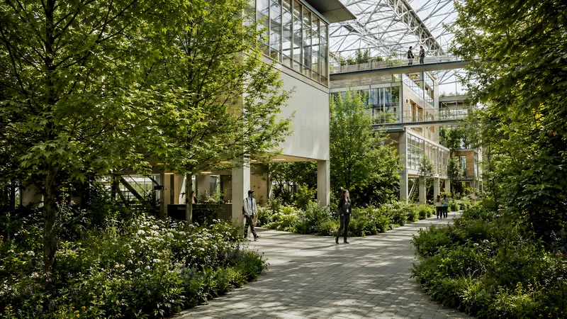 S_Catalyst_Exterior_v005_rgb_018.jpg