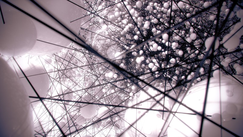 SiD network visualization