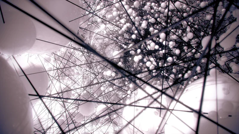 SiD network visualization