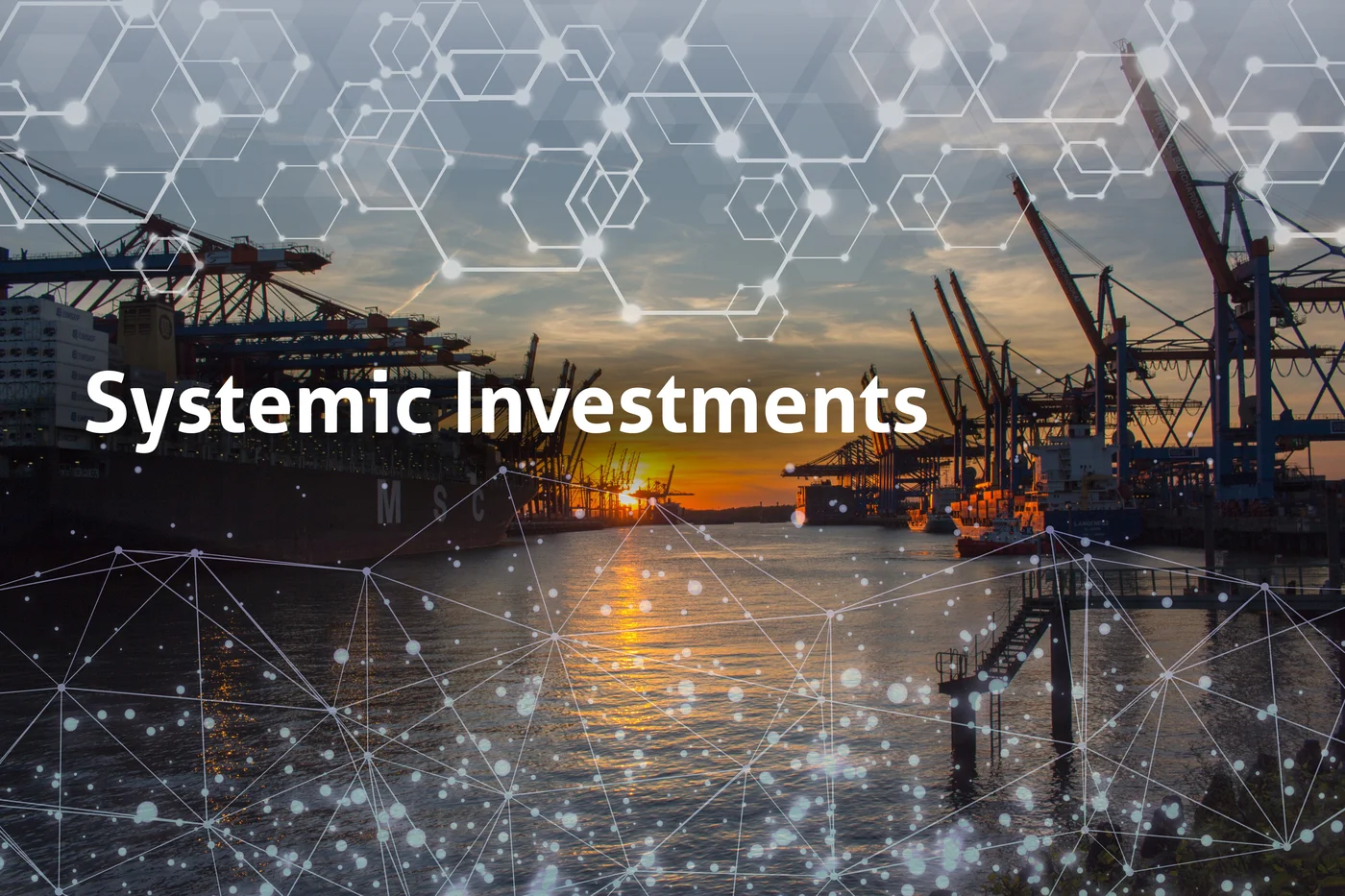 SiD and Investment Strategy
