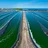 Merredin Spirulina Algae Farm