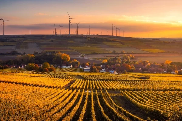 The Rise of Systemic Investments