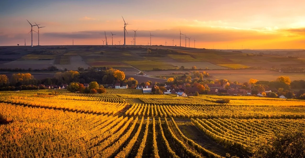 The Rise of Systemic Investments