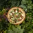 Pizza 4P’s Sustainability Strategy