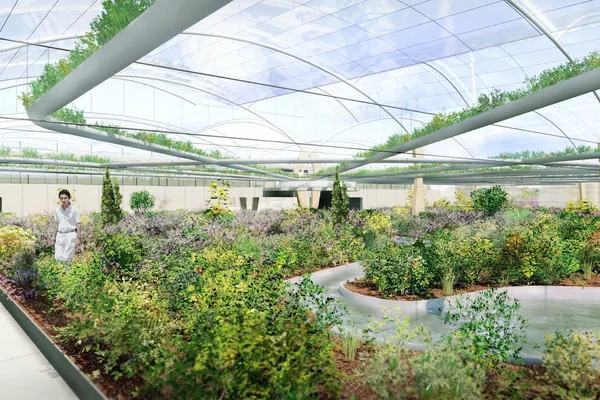 Polydome