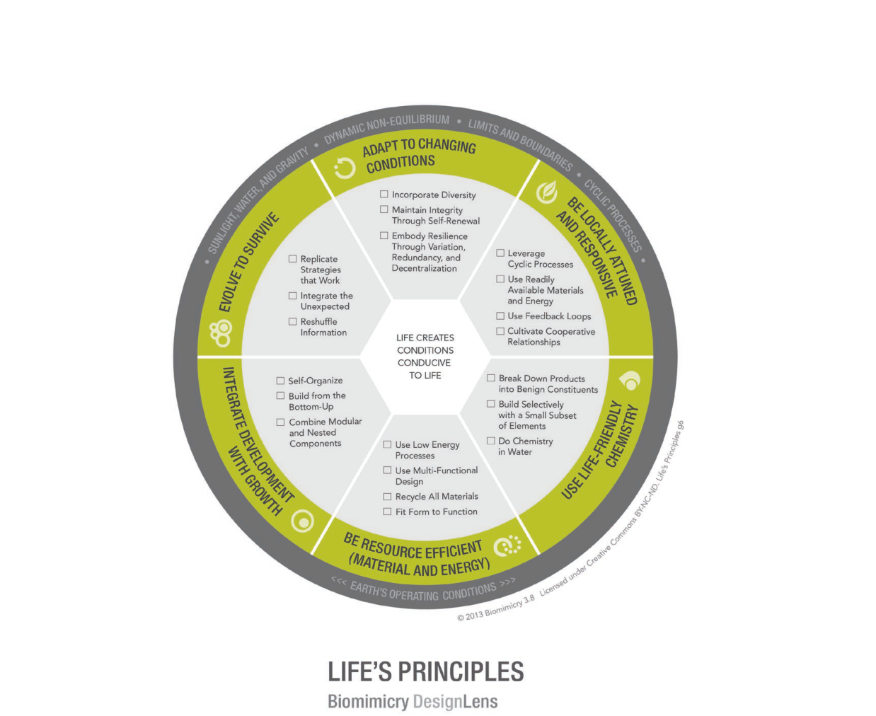 Biomimicry & DesignLens