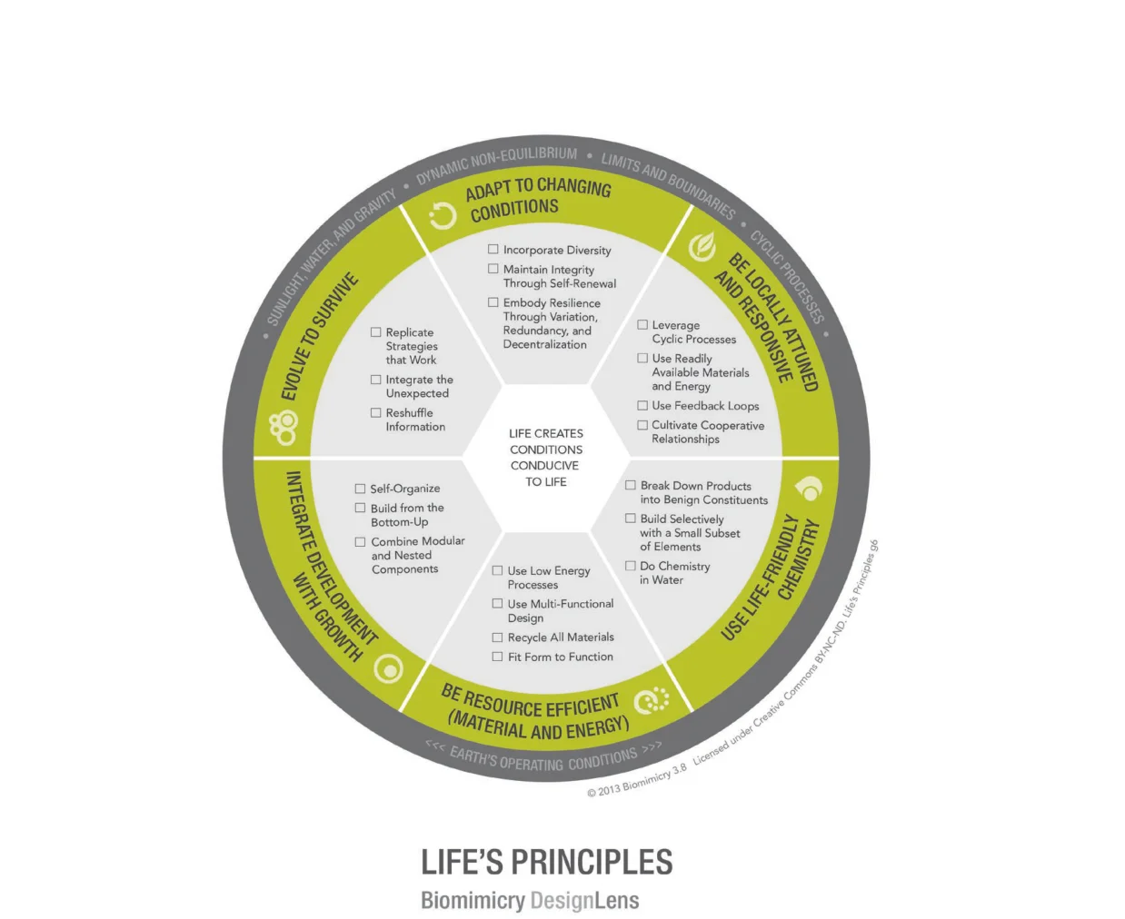 Biomimicry & DesignLens