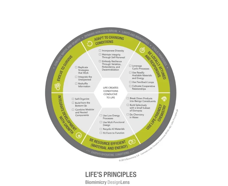 Biomimicry DesignLens