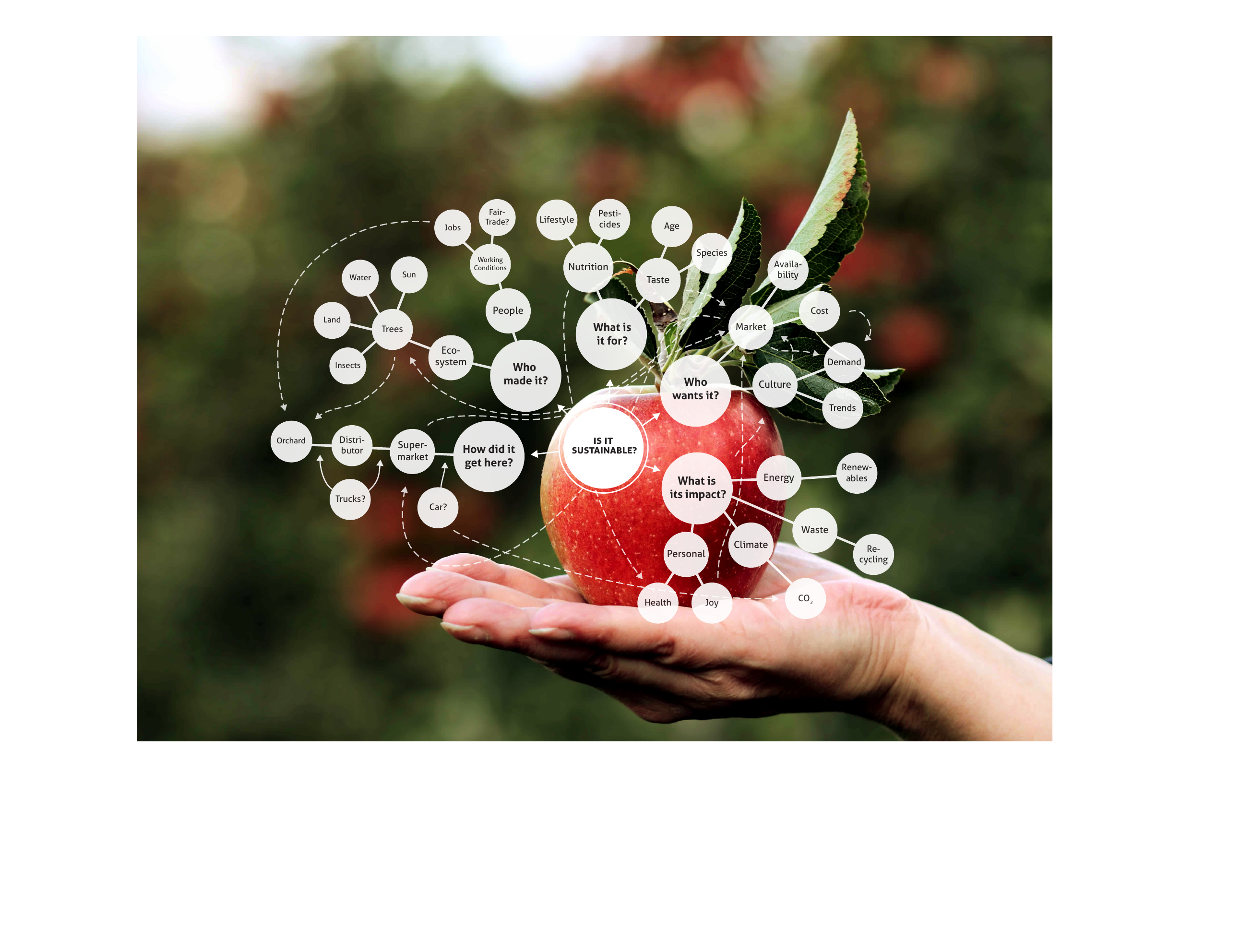 Apple Diagram: tracing a simple apple through its entire system of production, distribution, and impact