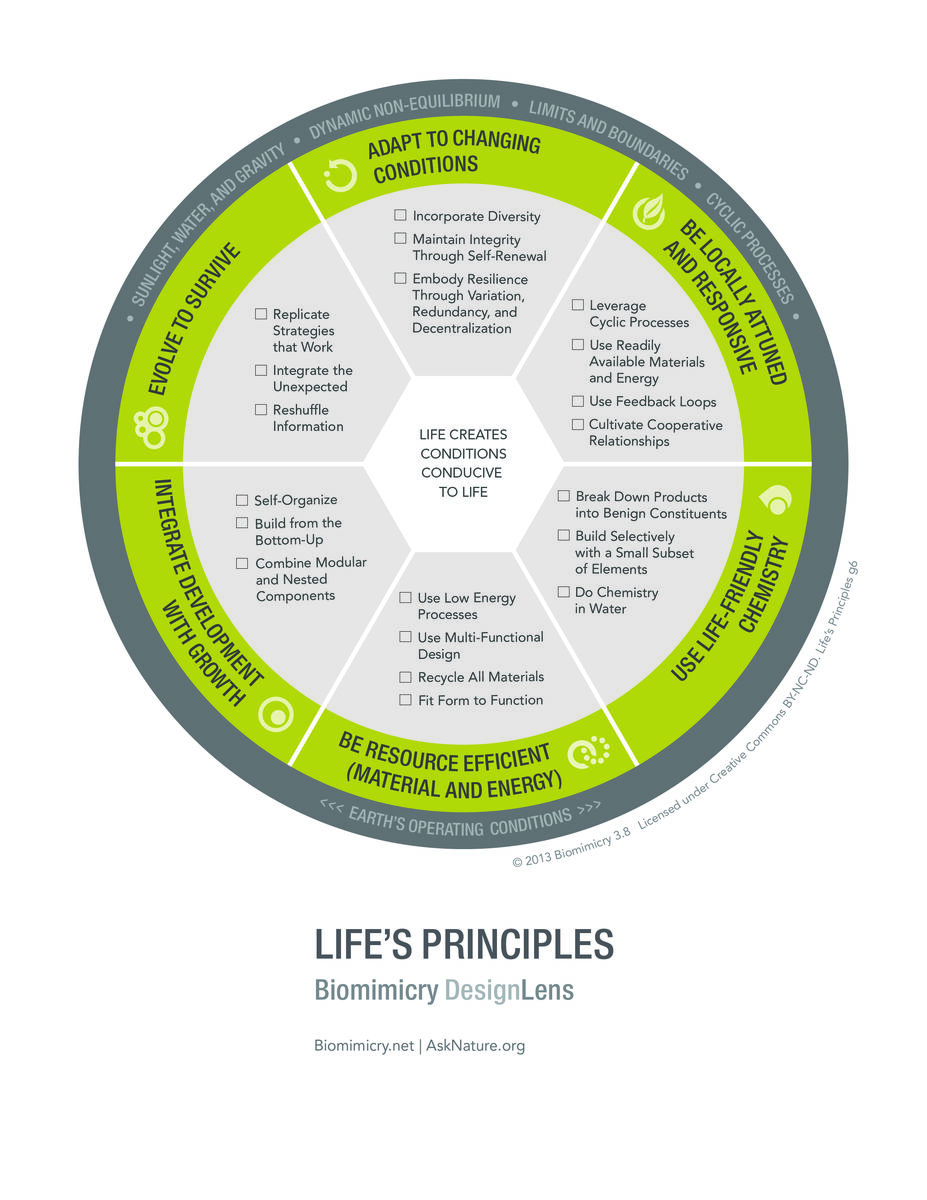 Biomimicry DesignLens Life's Principles