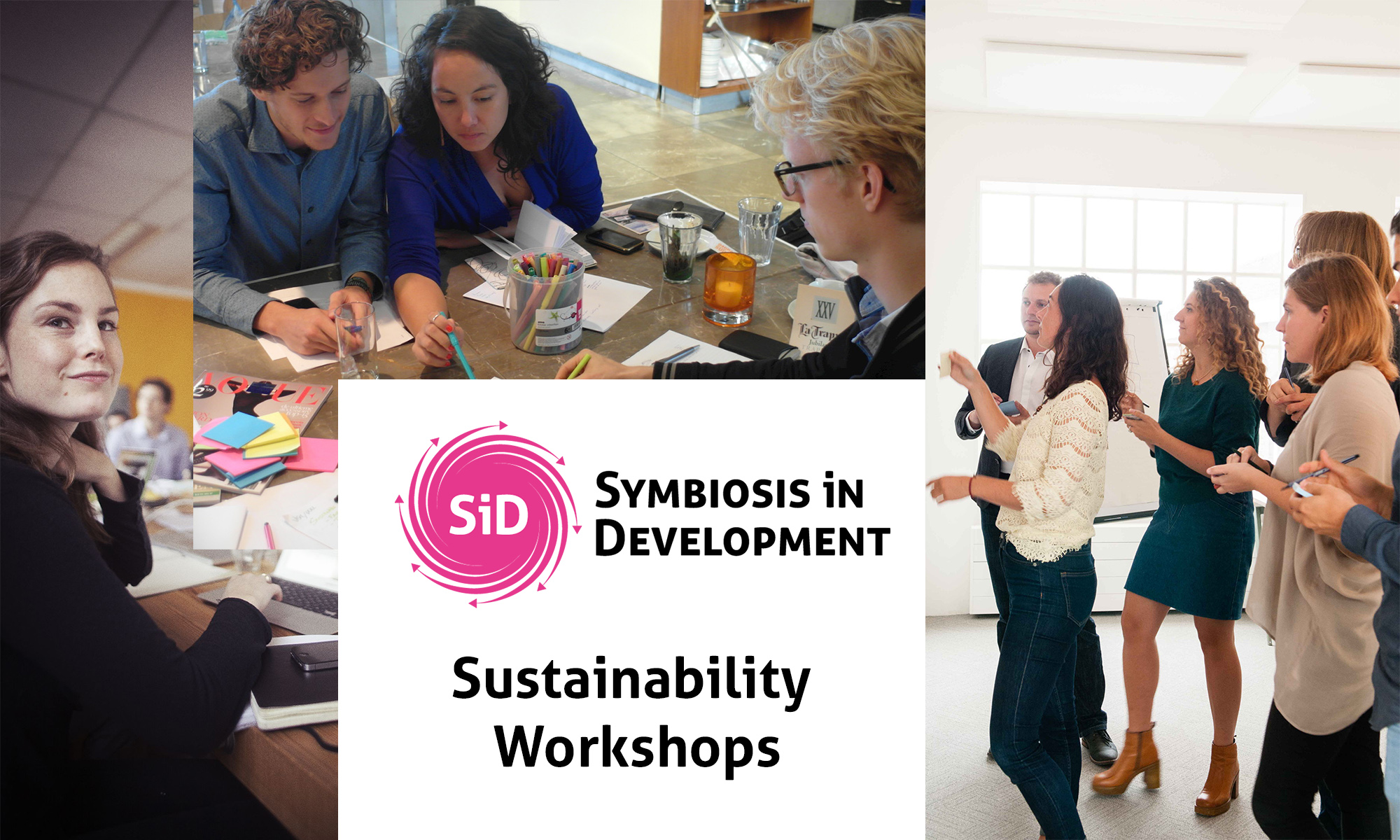 SiD sustainability workshops: multidisciplinary teams collaborating