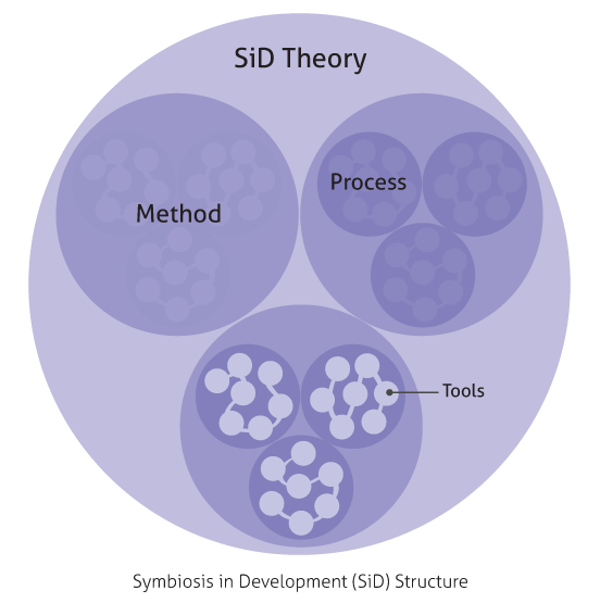 SiD Structure: Theory, Method, Process, and Tools
